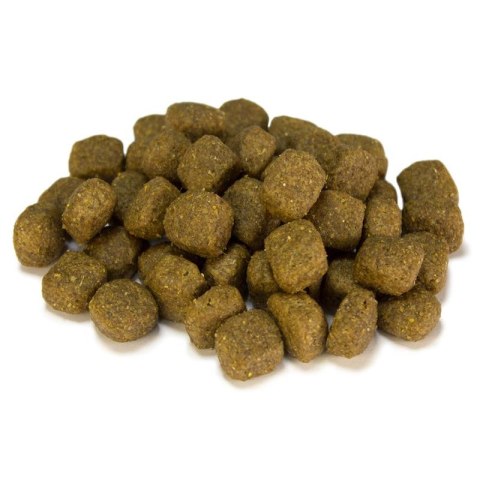 ARQUIVET Adult Kurczak z ryżem od 10 msc.12 kg ARQUIVET Adult Kurczak z ryżem od 10 msc.12 kg